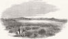 HANTS. Planned camp, Woolmer Forest 1859 old antique vintage print picture