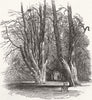 STRATFIELD SAYE. Pleasure- 1852 old antique vintage print picture