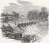 LONDON. Angling. Fish-Ladder, Hampton 1865 old antique vintage print picture