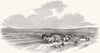 IRELAND. Bog of Allen, from canal side 1850 old antique vintage print picture
