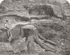 COALBROOKDALE. Fossil tree found, Quarry  1863 old antique print picture