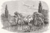STAMFORD. & Essendine Railway. Station 1856 old antique vintage print picture