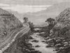 WALES. River Lledr, Bryn-y-Fedw, Dolwyddelan 1879 old antique print picture