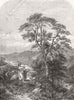 LANDSCAPES. Mountain spring 1852 old antique vintage print picture