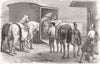HORSES. The Rail-The Horse-Box 1849 old antique vintage print picture
