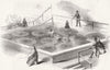 DERBYS. Huge Water-Lily(Victoria Regia), Chatsworth 1849 old antique print