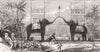 SRI LANKA. Arch, Colombo, Sri Lanka, Royal visit 1876 old antique print
