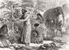 SRI LANKA. Decorations for Royal visit, Colombo 1876 old antique print picture