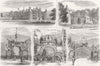 LINCS. Burghley House wedding celebration, Stamford 1875 old antique print