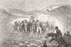 HORSES. The first buffalo 1871 old antique vintage print picture