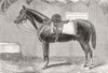 UKRAINE. Survivor from Crimea 1875 old antique vintage print picture