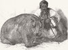ANIMALS. London Zoo. Hippo, Gdns of Regent's Park 1850 old antique print
