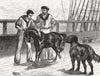 TIBET. Life Serapis. Pony & Dog 1876 old antique vintage print picture
