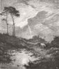 LANDSCAPES. Nature Pictures. The heath 1871 old antique vintage print