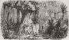 CUBA. Runaway slaves, woods  1860 old antique vintage print picture