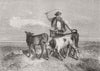 COWS. Going to market 1859 old antique vintage print picture