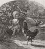 BIRDS. Covetousness 1859 old antique vintage print picture