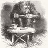 CHIMPS. Chimpanzee 1845 old antique vintage print picture