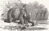 KANDY. Elephant helping lay water-pipes , Sri Lanka 1856 old antique print