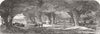 LANDSCAPES. Fine arts. Pastoral-Sunset 1846 old antique vintage print picture