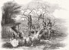 LONDON. Oak-barking 1859 old antique vintage print picture