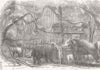 SOUTH AFRICA. Elephant Kraal, Island of Sri Lanka 1851 old antique print