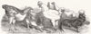 SUSSEX. Prize poultry, Royal farmers show, Lewes 1852 old antique print