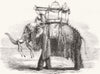 ELEPHANTS. Elephant with State Howdah, Vadodara 1857 old antique print picture