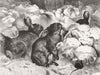 RABBITS. Winter Gardeners 1869 old antique vintage print picture