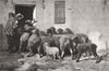 SHEEP. The return of the flock 1870 old antique vintage print picture