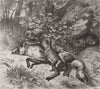 FOXES. After breakfast 1870 old antique vintage print picture