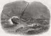 HARWICH. Floridian, Emigrant ship wreck, long sands 1849 old antique print