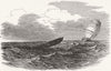 SEASCAPES. Gt sea-serpent, from HMS Plumper, officer 1849 old antique print