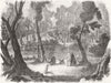 MARTINIQUE. New Botanical Gdns, St Pierre 1860 old antique print picture