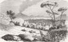 SWITZERLAND. Revolt of Swiss Regt, Naples 1859 old antique print picture