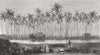 HAWAII. Summer House of King Kamehameha V, Waikiki 1873 old antique print