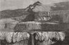 NEW ZEALAND. Tattooed basin, Tarata 1873 old antique vintage print picture