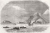 LA SPEZIA. Palmaria; Venese; Varignana 1858 old antique vintage print picture
