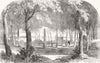 DENMARK. Hamlet's grave, Helsingor 1856 old antique vintage print picture
