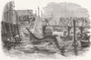 LONDON. Catching whale, Deptford Pier 1842 old antique vintage print picture