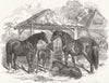 NORTHAMPTON. Prizes awarded, 1847. Mares & Foals 1847 old antique print