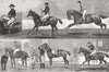 ISLINGTON. Mexican riding match, agricultural Hall 1877 old antique print