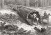 CALIFORNIA. Great fallen tree, Mariposa 1877 old antique vintage print picture