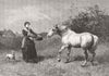 HORSES. Not to be caught by Chaff 1884 old antique vintage print picture
