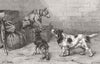 DOGS. The man in possession 1884 old antique vintage print picture