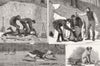 DORSET. Badger hunting in Dorsetshire 1881 old antique vintage print picture