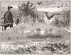 ENGLAND. Falconry in. 1 Heron Hawking; 2 Game 1880 old antique print picture