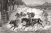 CHILE. At a Chilian Rodeo-III. Branding 1880 old antique vintage print picture