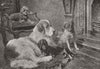 DOGS. Fireside Fancies 1894 old antique vintage print picture
