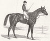 BERKS. Alarm, winner of emperor's cup, Ascot 1846 old antique print picture